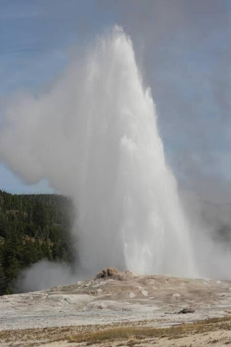 Bison Lodge - Lg Home - 2 Bedrooms - Less Than 5 Miles To Yellowstone North Entrance, Sleeps Up To 8 加德纳 外观 照片